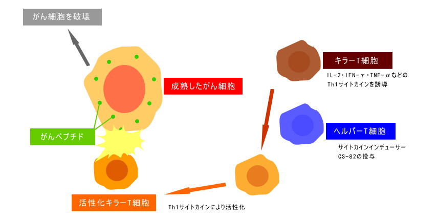 がんの複合免疫治療
