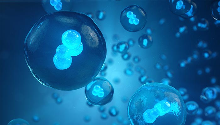 自家がんワクチン免疫治療